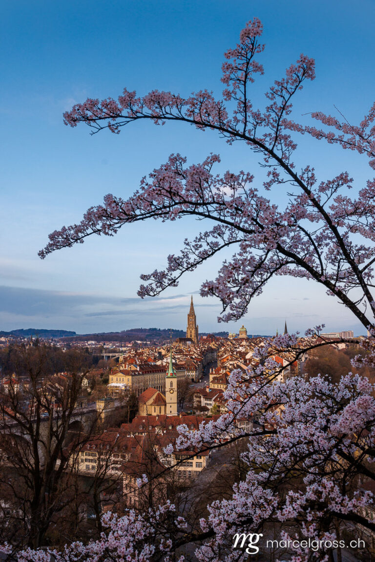 . Berner Altstadt während Kirschblüte im Frühling. Marcel Gross Photography