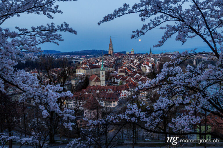 Bern Bilder. Vollmond hinter Berner Münster im Frühling während Kirschblüte. Marcel Gross Photography